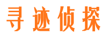 罗城市调查公司